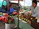 Mercado de agricultores cercano